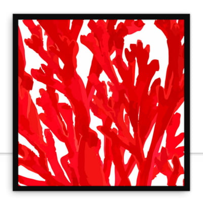 Quadro Algas vermelhas por Sussu e Juju -  CATEGORIAS
