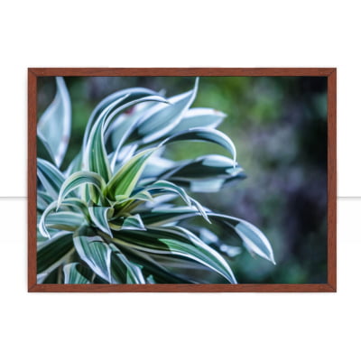 Quadro Arbusto azul por Edmoraes -  CATEGORIAS