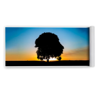 Quadro Árvore ao pôr do sol por Pignata -  CATEGORIAS