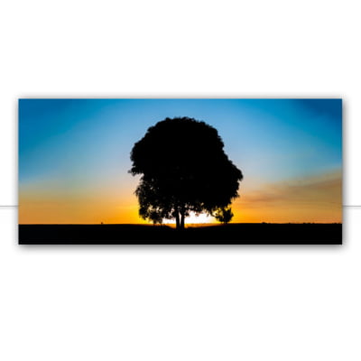 Quadro Árvore ao pôr do sol por Pignata -  CATEGORIAS