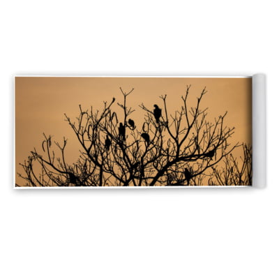 Quadro Árvore e Araras por Marcelo Baldin & Sâmia Munaretti -  CATEGORIAS