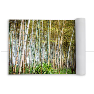 Quadro Bamboo por Erica Kogiso -  CATEGORIAS