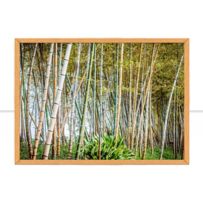 Quadro Bamboo por Erica Kogiso -  CATEGORIAS