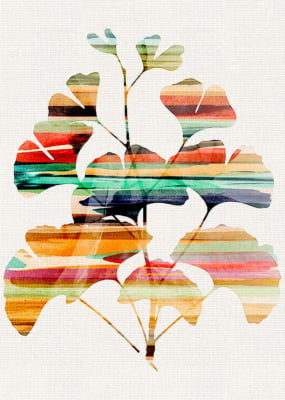 Quadro Big Flower Color 02 por Patricia Costa -  CATEGORIAS