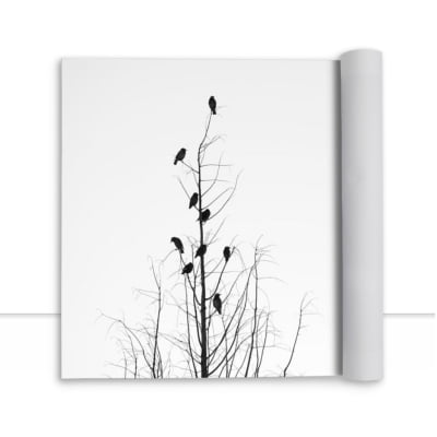 Quadro Birds and Tree por Erica Kogiso -  CATEGORIAS