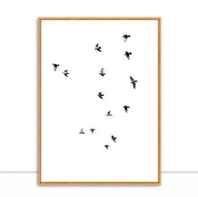 Quadro Birds Pb por Elli Arts -  CATEGORIAS