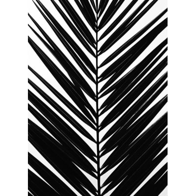 Quadro Black Tropical Leaf por Renato Muniz
