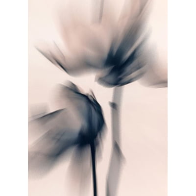 Quadro Blurred Flowers II por Patricia Costa