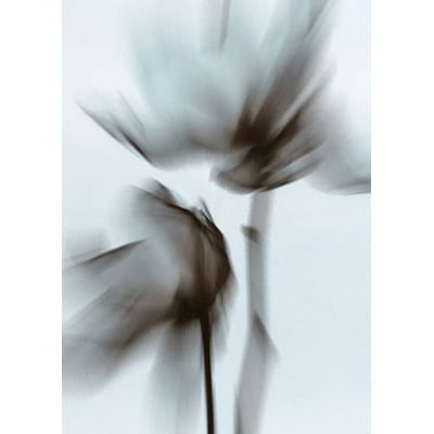 Quadro Blurred Flowers III por Patricia Costa