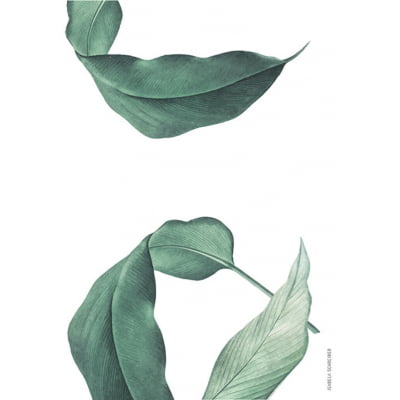 Quadro Botanica Tropical 01 por Isabela Schreiber