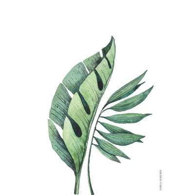 Quadro Botanica Tropical 02 por Isabela Schreiber