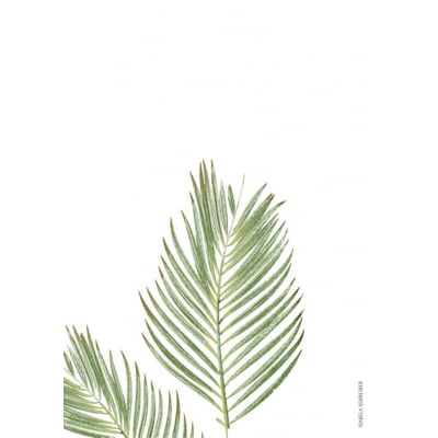 Quadro Botanica Tropical 03 por Isabela Schreiber