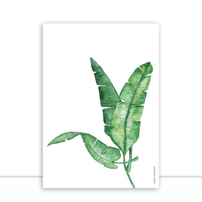 Quadro Botanica Tropical 04 por Isabela Schreiber -  CATEGORIAS
