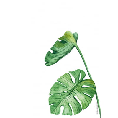 Quadro Botanica Tropical 05 por Isabela Schreiber
