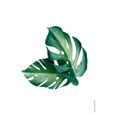Quadro Botanica Tropical 06 por Isabela Schreiber -  CATEGORIAS
