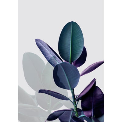 Quadro Botanical Blue I por Juliana Bogo -  CATEGORIAS
