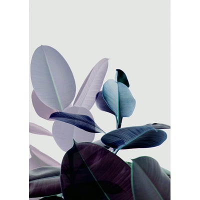 Quadro Botanical Blue II por Juliana Bogo -  CATEGORIAS