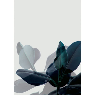 Quadro Botanical Blue III por Juliana Bogo -  CATEGORIAS
