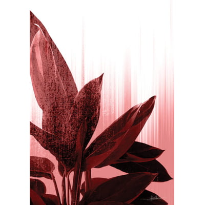 Quadro Botanical Roseé I por Joel Santos -  CATEGORIAS