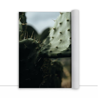 Quadro Cactus I por César Fonseca -  CATEGORIAS