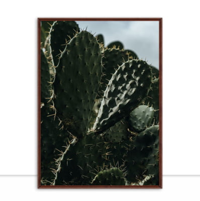 Quadro Cactus II por César Fonseca -  CATEGORIAS