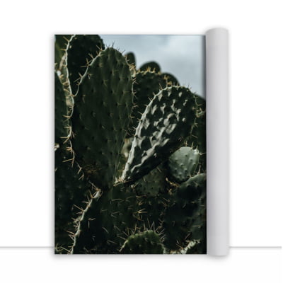 Quadro Cactus II por César Fonseca -  CATEGORIAS