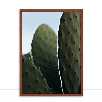 Quadro Cactus IV por César Fonseca -  CATEGORIAS