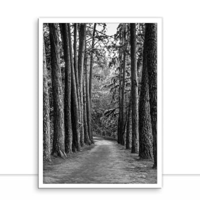 Quadro Caminho na floresta por Edmoraes -  CATEGORIAS