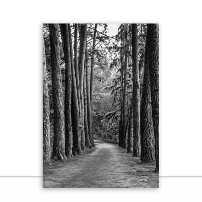 Quadro Caminho na floresta por Edmoraes -  CATEGORIAS