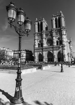 Quadro Catedral de Notre Dame por Escolha Viajar -  CATEGORIAS