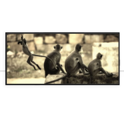 Quadro Child Monkey por Felipe Hoffmann -  CATEGORIAS