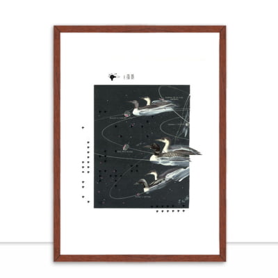 Quadro Cosmic Ducks por Beto Shibata -  AMBIENTES