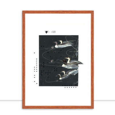 Quadro Cosmic Ducks por Beto Shibata -  AMBIENTES