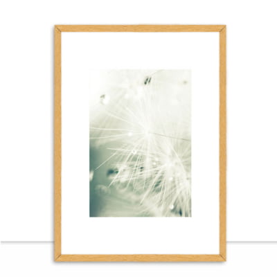 Quadro Dandelion Seed por Elli Arts -  CATEGORIAS