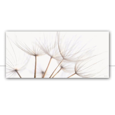 Quadro Dandelion Sepia pan por Juliana Bogo -  CATEGORIAS