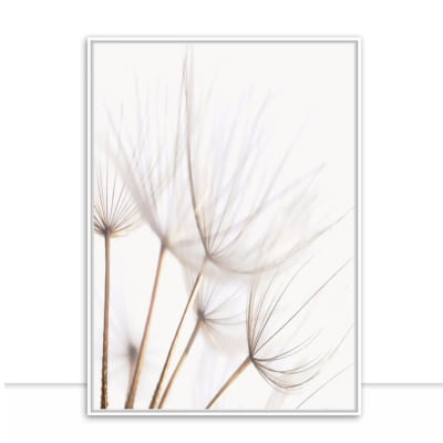 Quadro Dandelion Sepia por Juliana Bogo -  AMBIENTES