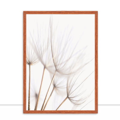 Quadro Dandelion Sepia por Juliana Bogo -  AMBIENTES