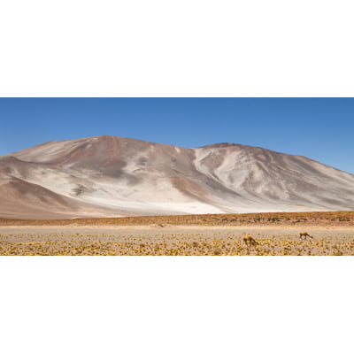 Quadro Desert Treasures-3 por Rafael Campezato -  CATEGORIAS