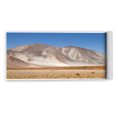 Quadro Desert Treasures-3 por Rafael Campezato -  CATEGORIAS