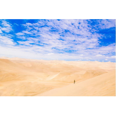 Quadro Deserto Peruano por Fayson Merege