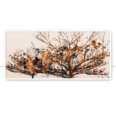 Quadro Dry Tree Ocre por Joel Santos -  CATEGORIAS