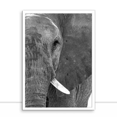 Quadro Elefante PB I por Marcelo Baldin e Sâmia Munaretti -  CATEGORIAS