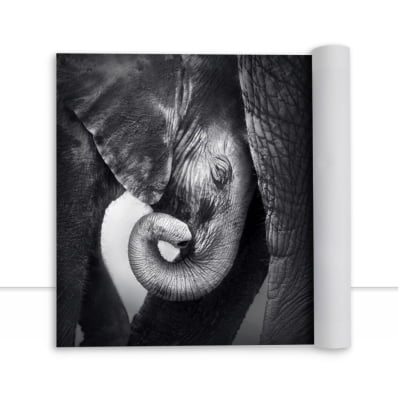 Quadro Elefante por Elli Arts -  CATEGORIAS