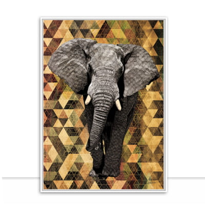 Quadro Elephant Colours por Joel Santos -  CATEGORIAS