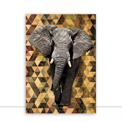Quadro Elephant Colours por Joel Santos -  CATEGORIAS