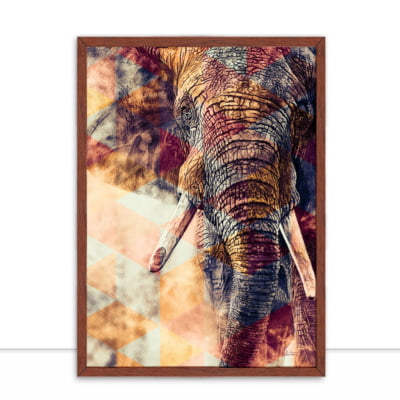 Quadro Expression Elephant Colours por Joel Santos -  CATEGORIAS