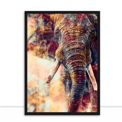 Quadro Expression Elephant Colours por Joel Santos -  CATEGORIAS