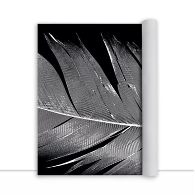 Quadro Feather White por Joel Santos -  CATEGORIAS