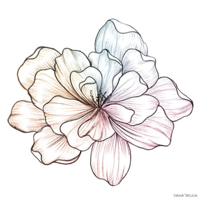 Quadro Flora Color 1 por Bruna Deluca -  CATEGORIAS