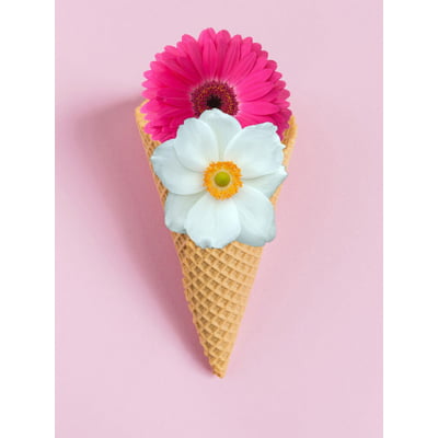 Quadro Flower Ice Cream por Bruna Polessi